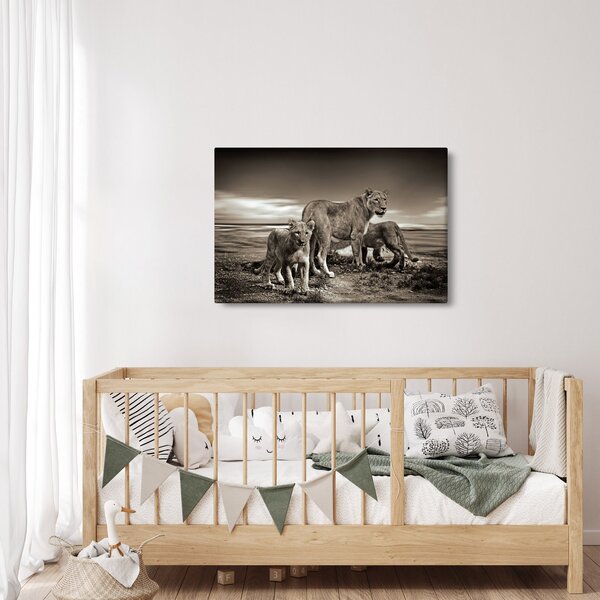 Fekete fehér tigris képe (90x60 cm)