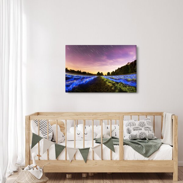Színes mező képe (90x60 cm)