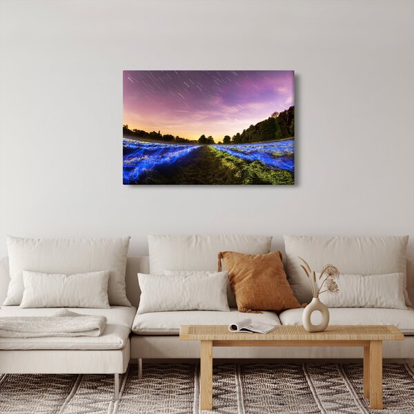 Színes mező képe (90x60 cm)