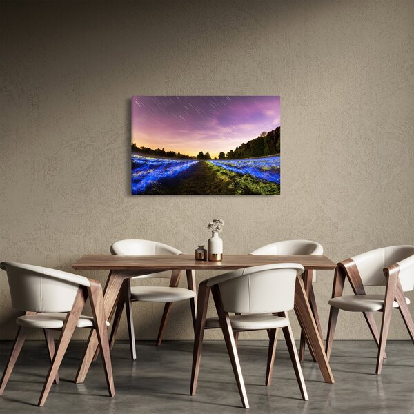 Színes mező képe (90x60 cm)