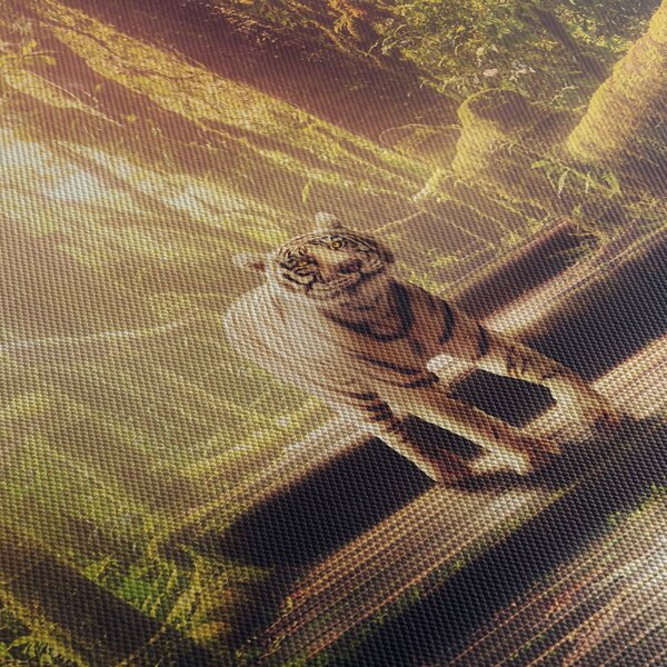 Tigris képe (120x50 cm)