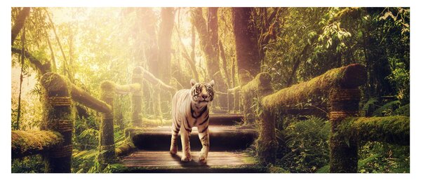 Tigris képe (120x50 cm)