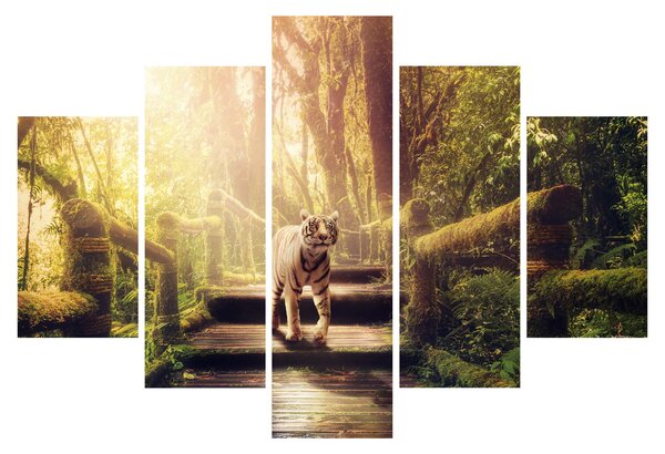 Tigris képe (150x105 cm)