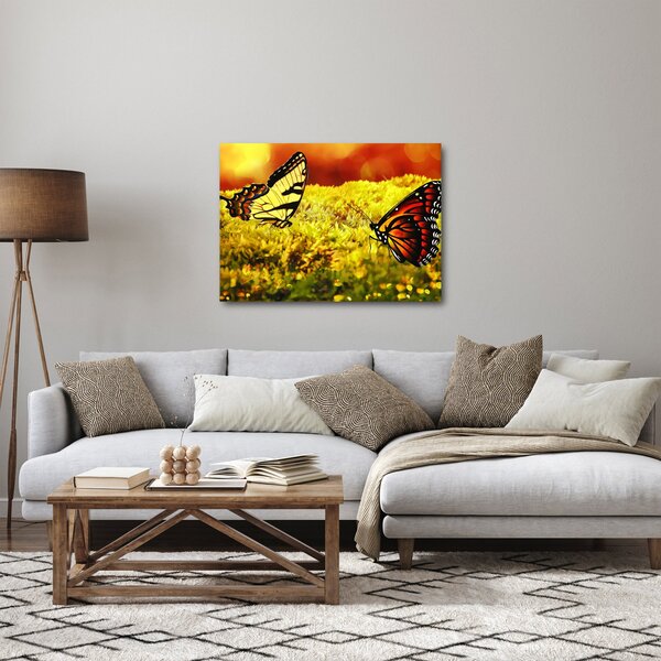 Pillangó képe (70x50 cm)