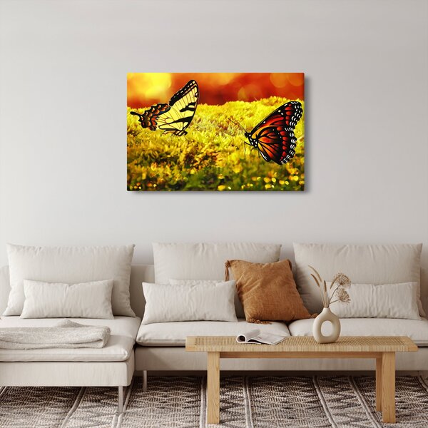 Pillangó képe (90x60 cm)