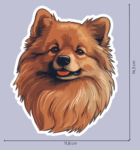 PIPPER. Matrica Pomerániai Méret: 60cm