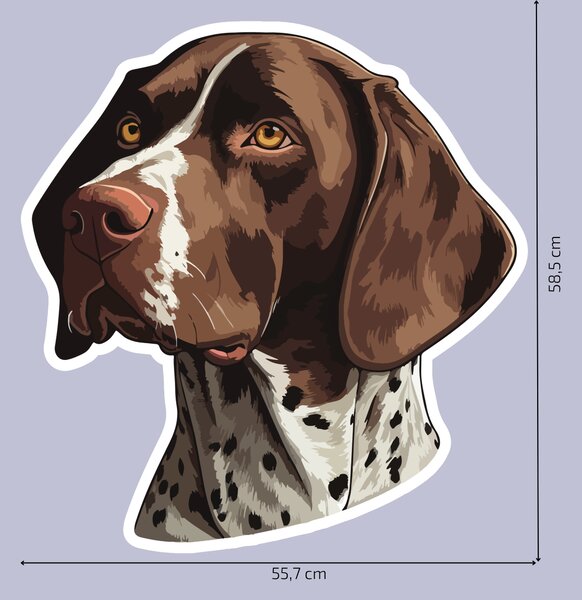 PIPPER. Matrica Német rövidszőrű mutató Méret: 60cm