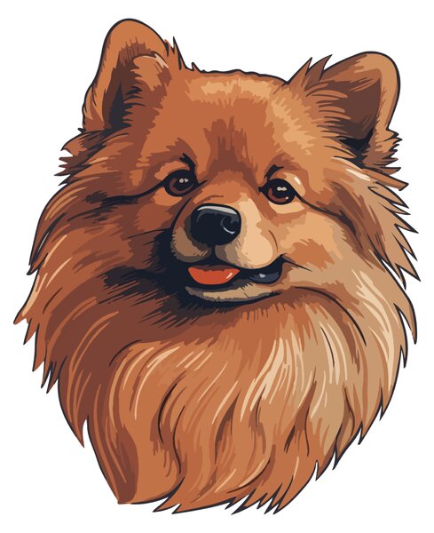 PIPPER. Matrica Pomerániai Méret: 60cm