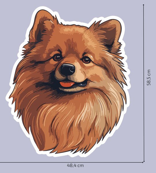 PIPPER. Matrica Pomerániai Méret: 60cm