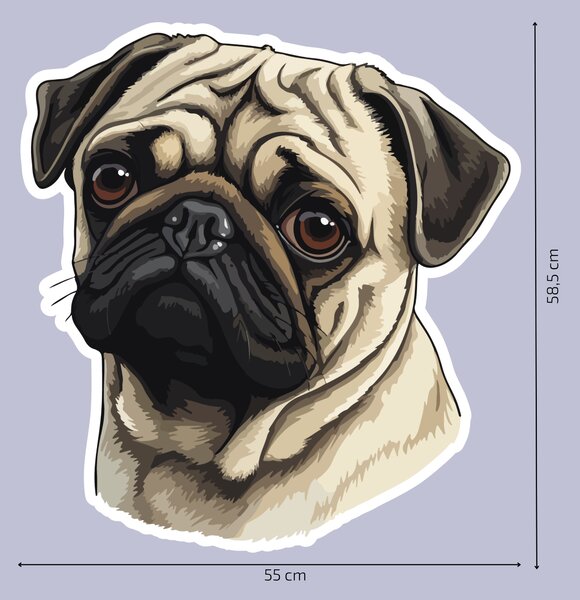 PIPPER. Matrica Mopsz Méret: 60cm