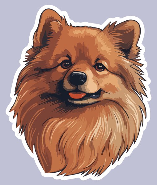 PIPPER. Matrica Pomerániai Méret: 60cm