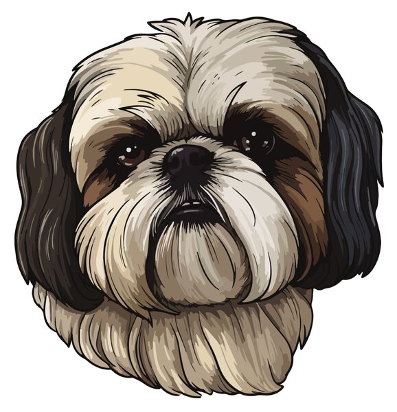 PIPPER. Matrica Shih Tzu Méret: 15cm
