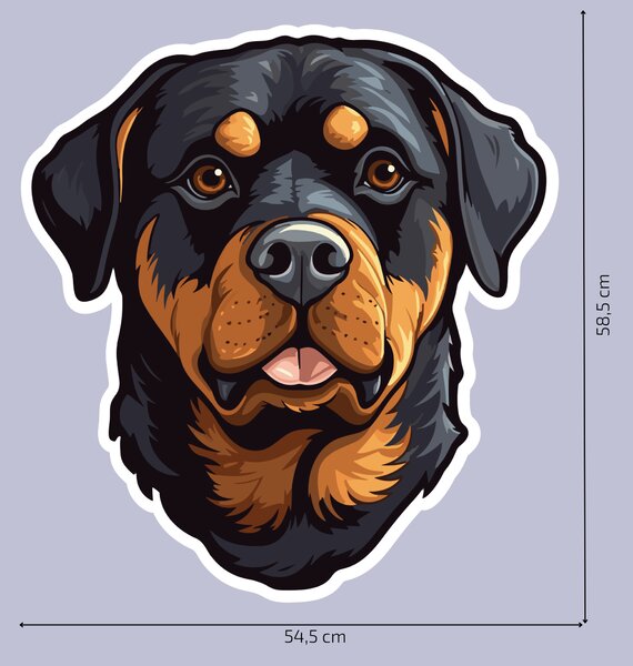 PIPPER. Matrica Rottweiler Méret: 60cm