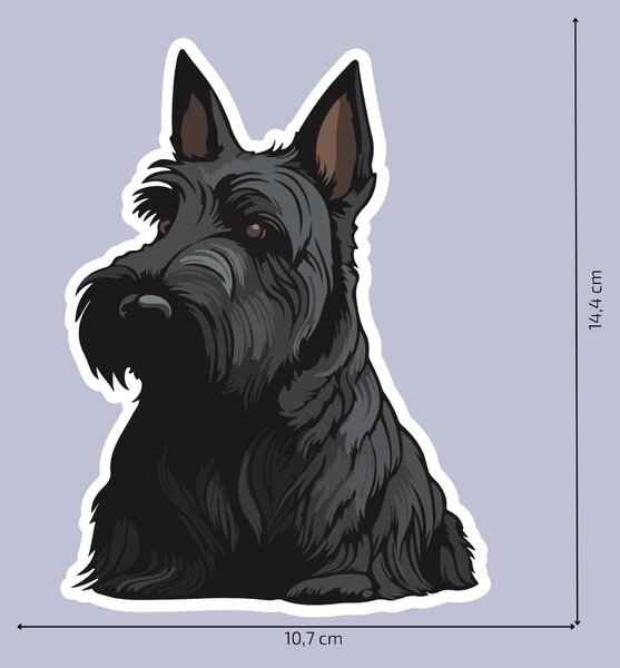 PIPPER. Matrica Skót terrier Méret: 15cm