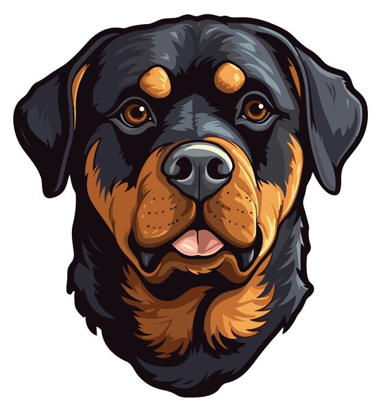 PIPPER. Matrica Rottweiler Méret: 60cm