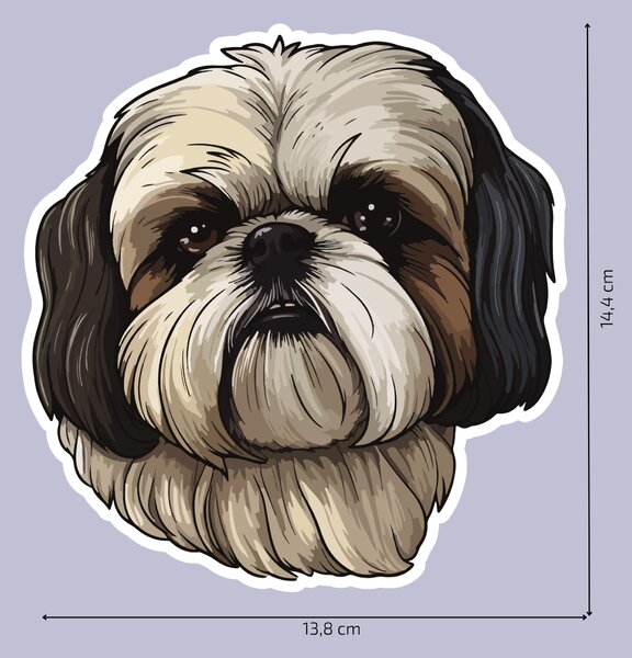 PIPPER. Matrica Shih Tzu Méret: 15cm