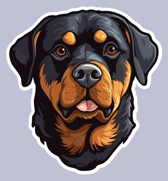 PIPPER. Matrica Rottweiler Méret: 60cm