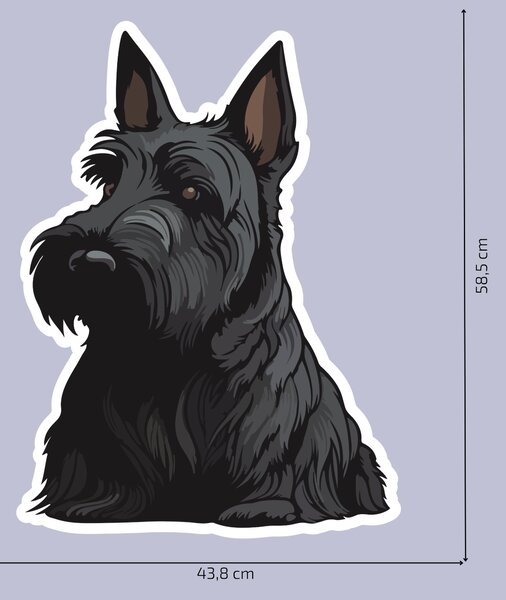 PIPPER. Matrica Skót terrier Méret: 15cm