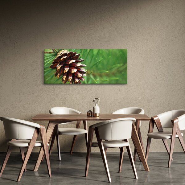 Fenyőtoboz képe (120x50 cm)