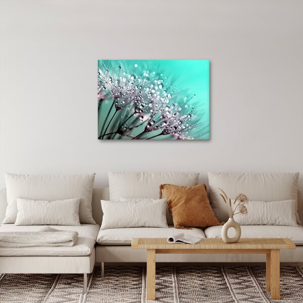 Kép - harmatos növény (70x50 cm)