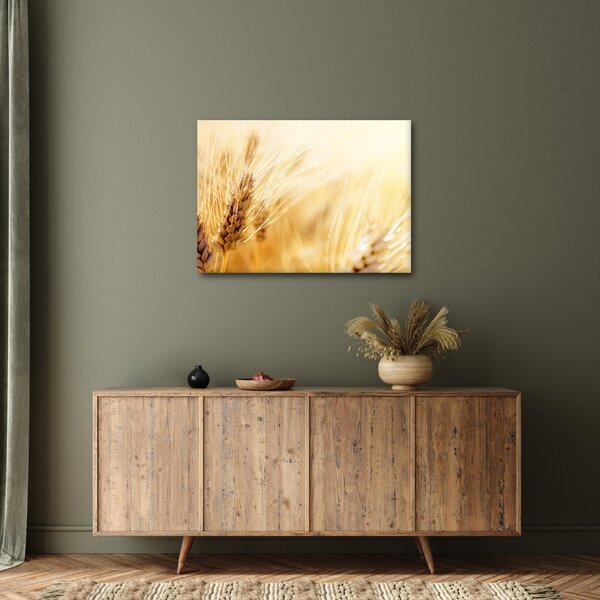 Kép - részlet gabona (70x50 cm)
