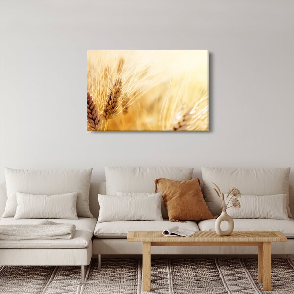 Kép - részlet gabona (90x60 cm)