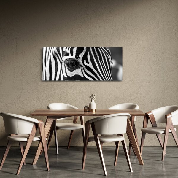 Zebra képe (120x50 cm)