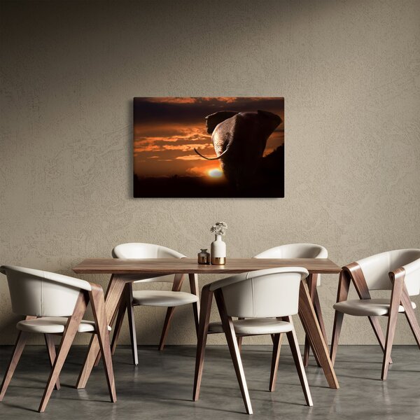 Elefánt képe (90x60 cm)