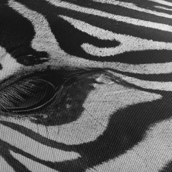 Zebra képe (150x105 cm)