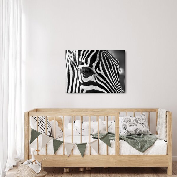 Zebra képe (70x50 cm)