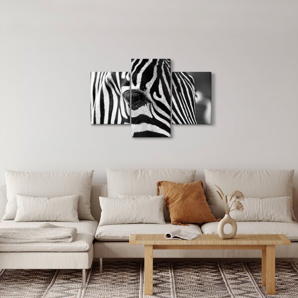 Zebra képe (90x60 cm)