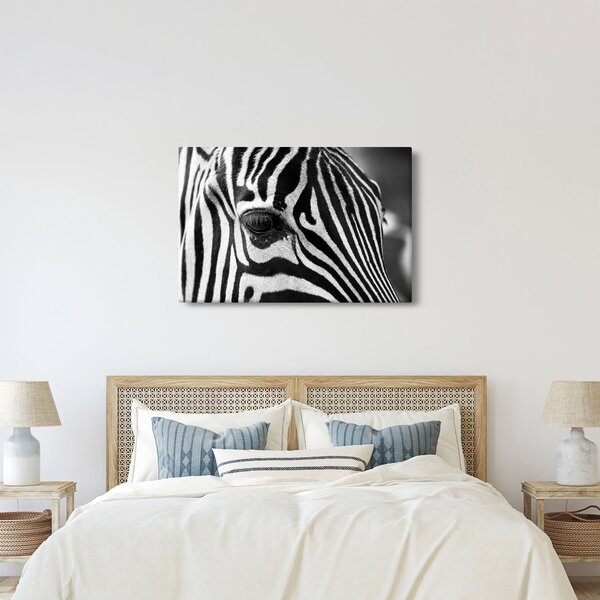 Zebra képe (90x60 cm)