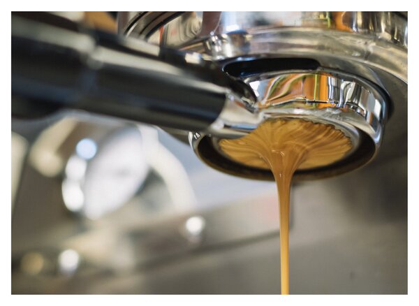 Kép - espresso (70x50 cm)