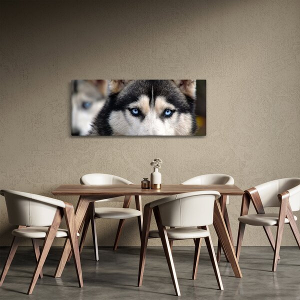 Husky kutya kép (120x50 cm)