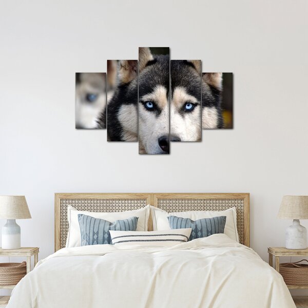Husky kutya kép (150x105 cm)