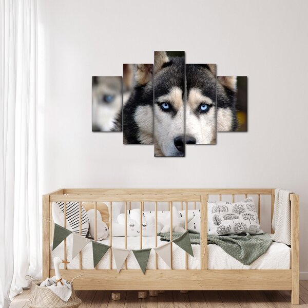 Husky kutya kép (150x105 cm)