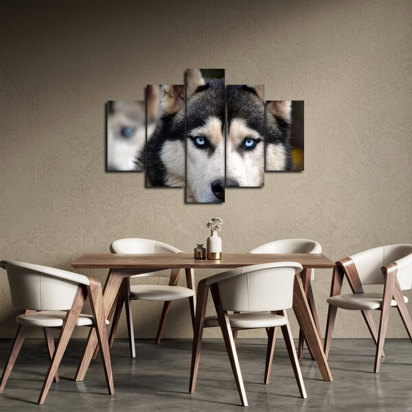 Husky kutya kép (150x105 cm)