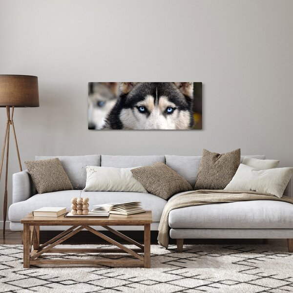 Husky kutya kép (120x50 cm)