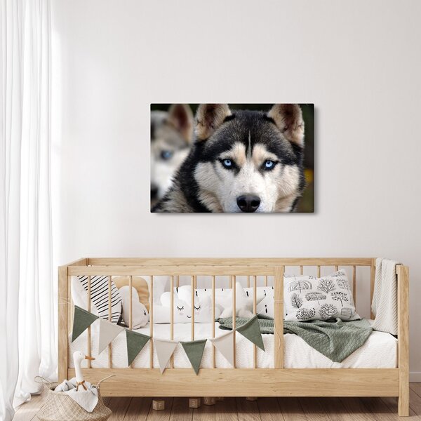Husky kutya kép (90x60 cm)