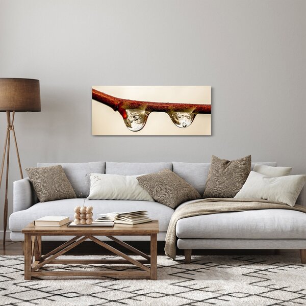 Vízcseppek a faágon képe (120x50 cm)