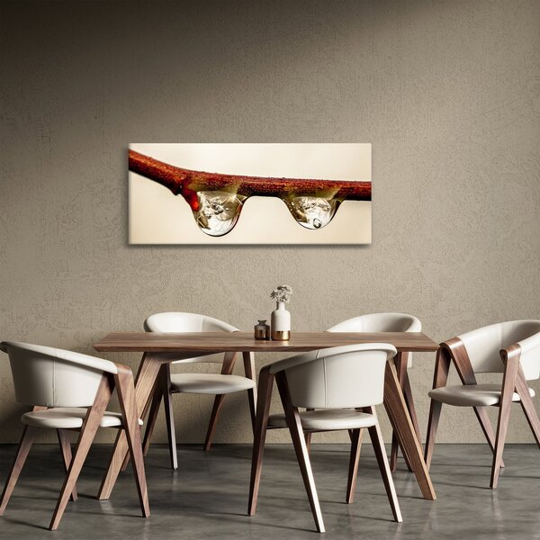 Vízcseppek a faágon képe (120x50 cm)