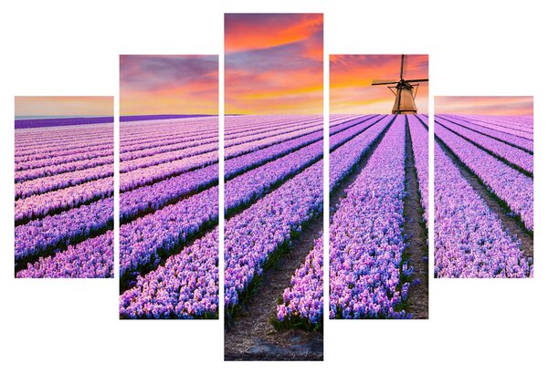 Kép - virágfarm (150x105 cm)