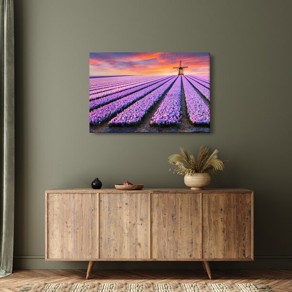 Kép - virágfarm (90x60 cm)