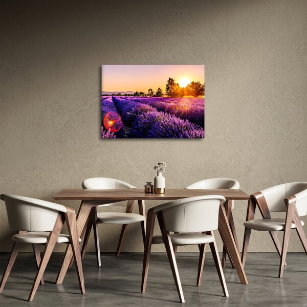 Levandula mező képe (70x50 cm)