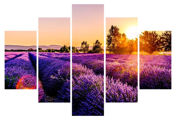 Levandula mező képe (150x105 cm)