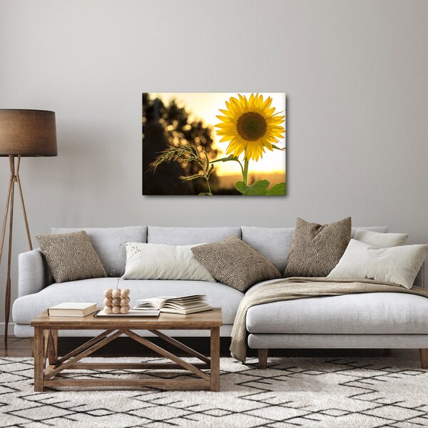 Napraforgó képe (70x50 cm)