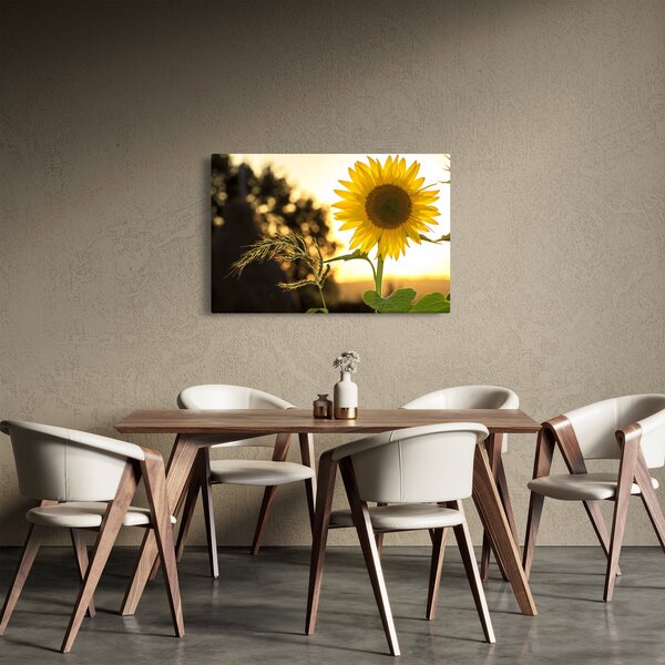 Napraforgó képe (90x60 cm)