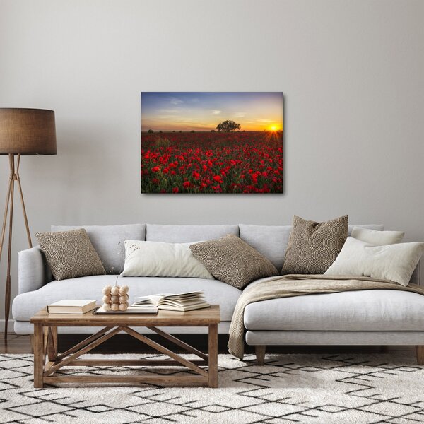 Pipacsos rét képe (70x50 cm)