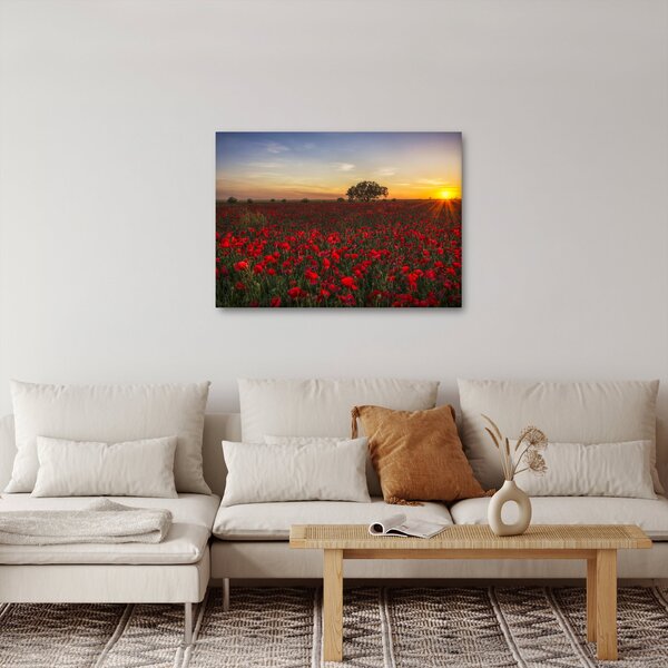 Pipacsos rét képe (70x50 cm)