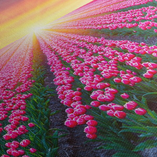 Tulipán mező és a nap képe (órával) (90x30 cm)